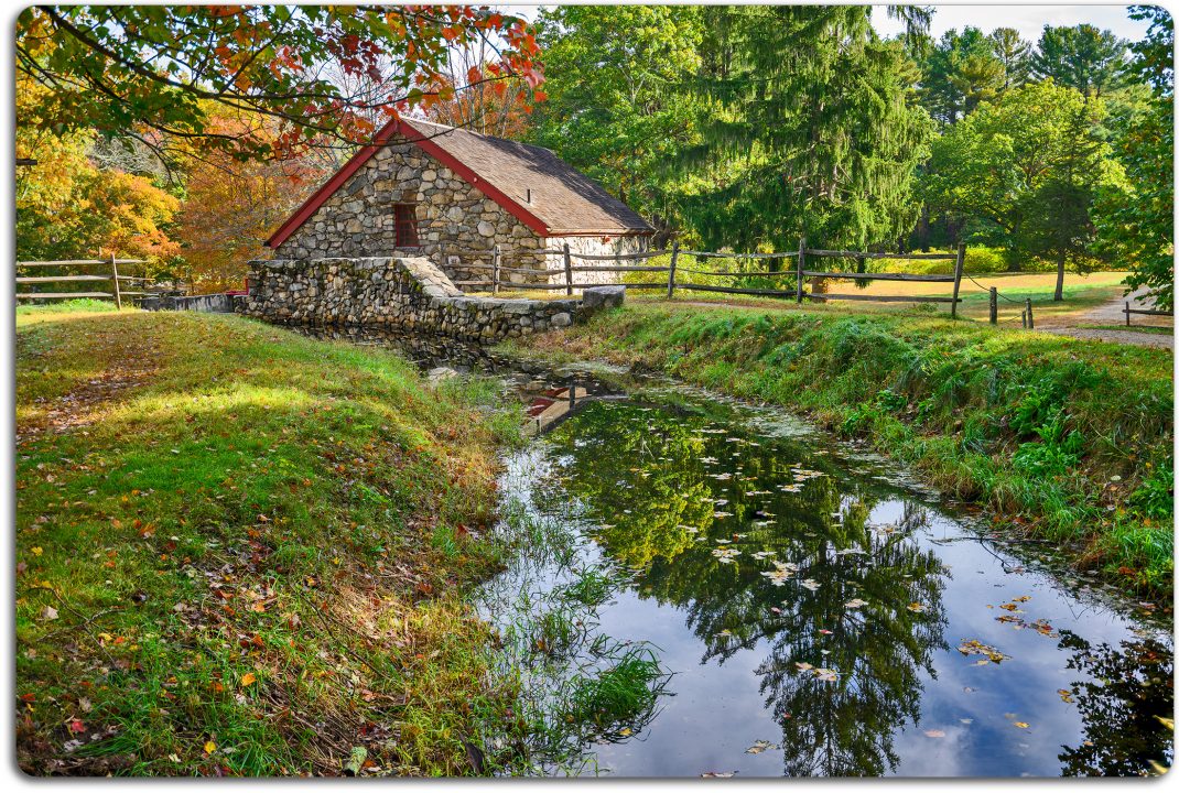 THE GRIST MILL